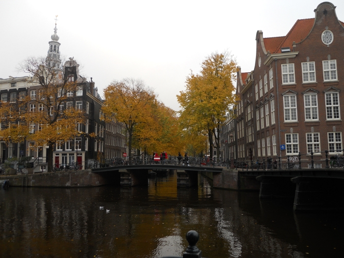 Amsterdam: immagine 10