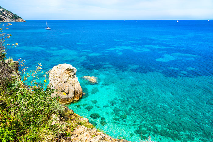 Isola_d_elba: immagine 4
