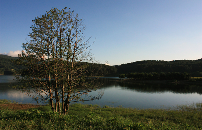 Parco nazionale sila: immagine 3