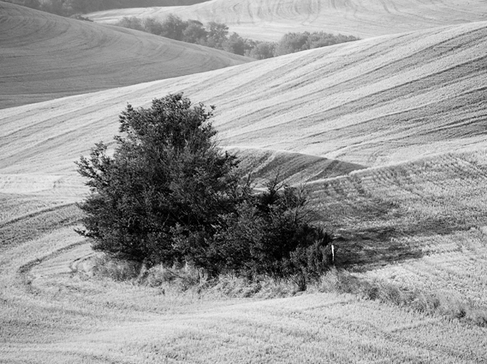 Volterra: immagine 2